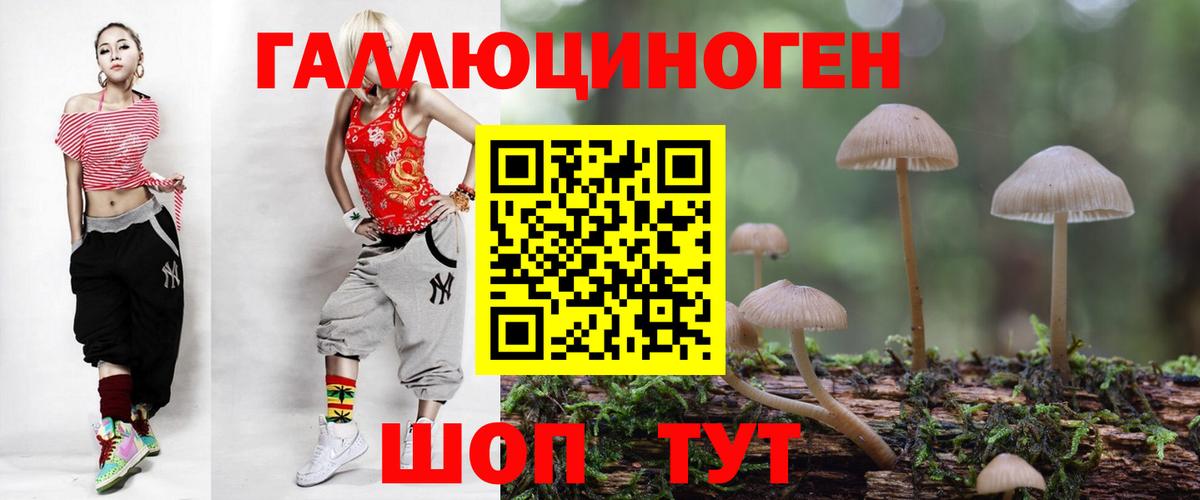 Галлюциногенные грибы Psilocybe  Псилоцибиновые грибы мицелий  Дмитров  Вход с VPN 